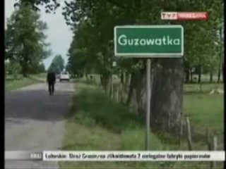 TVP o dzikim kocie w okolicy Ostrołęki 