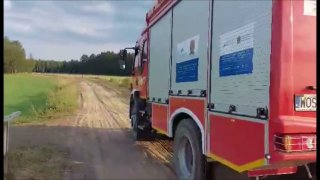 Pożar lasu w gminie Czarnia. W akcji także samoloty gaśnicze