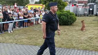 Święto Policji w Ostrołęce - pokaż tresury psów policyjnych