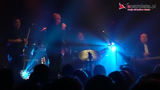 De Mono w Ostrołęce - legendarny zespół w najlepszym wydaniu